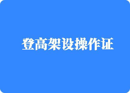 天天日屄日屄登高架设操作证