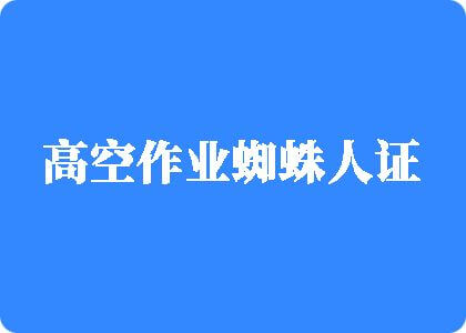 变态美女操逼视频高空作业蜘蛛人证