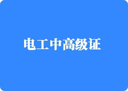 www.老逼网站cn电工中高级证